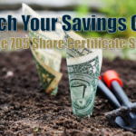 Watch Your Savings Grow with the 705 Share Certificate Special!