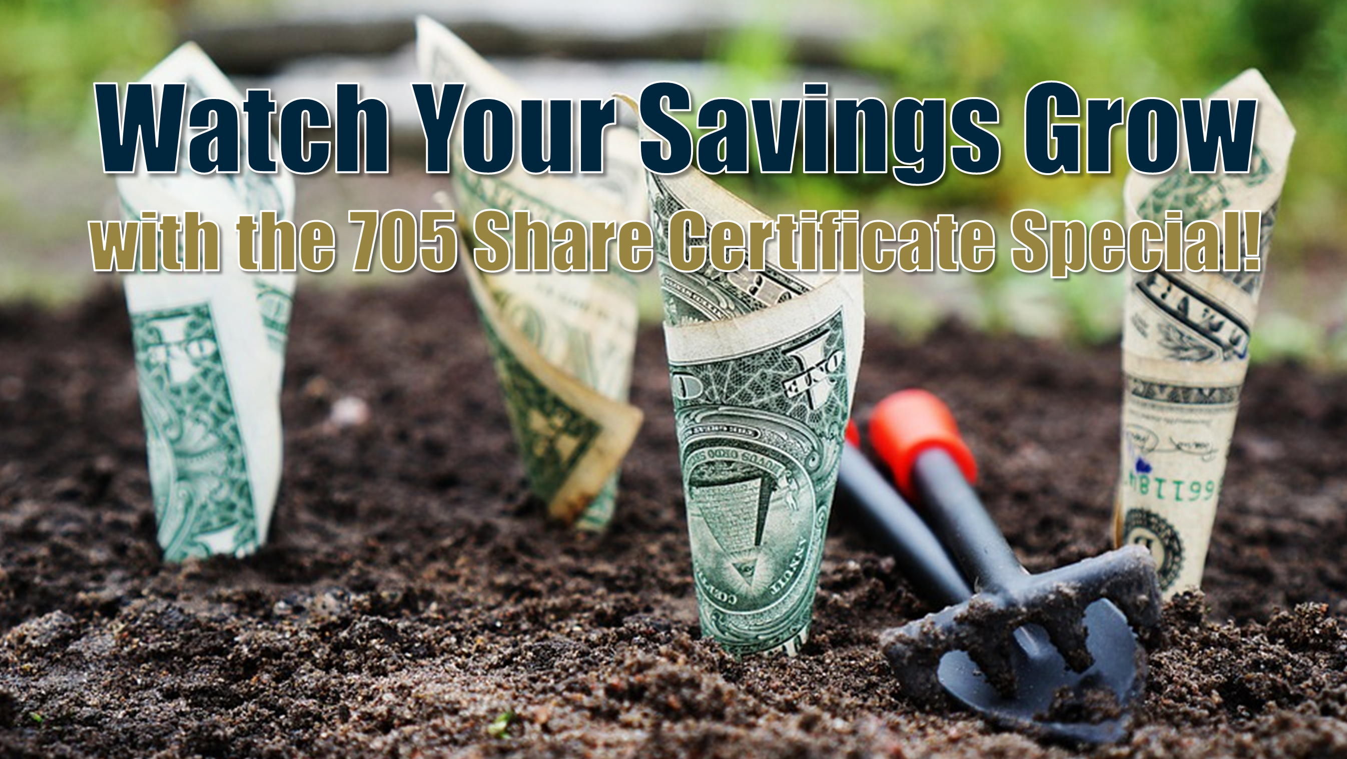 Watch Your Savings Grow with the 705 Share Certificate Special! 